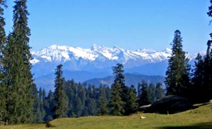 Naldehra And Shaily Peak