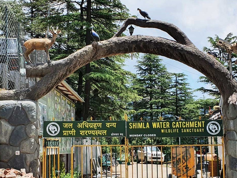 Visit Water Catchment Wildlife Sanctuary in Shimla