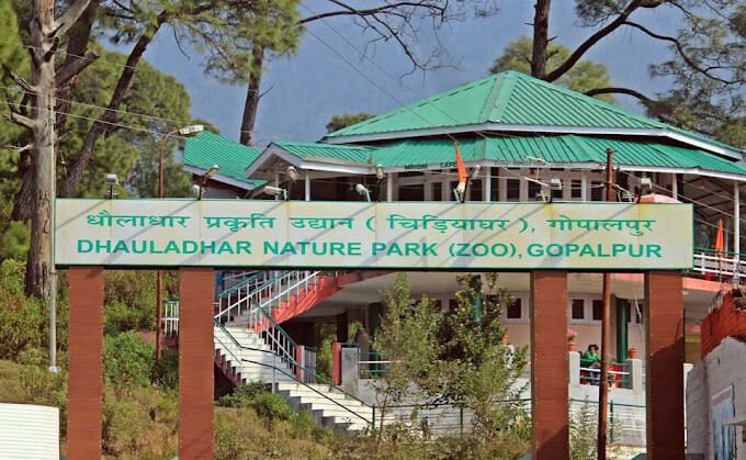 Gopalpur Zoo Palampur/Things to do in Dharamshala