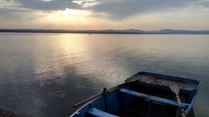Pong dam/Things to do in Dharamshala