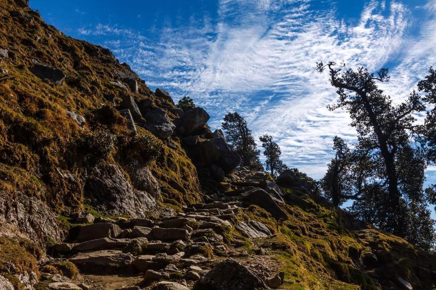 Activity in Dharamshala: Adventurers trekking through the breathtaking landscape of Triund Trek in Dharamshala, surrounded by lush green hills and the promise of an unforgettable journey."
