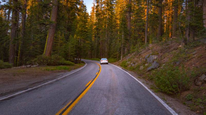 Reach Shimla by road