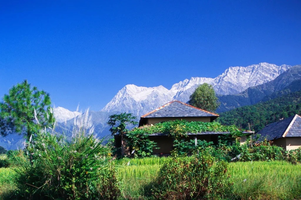 Palampur Hill station