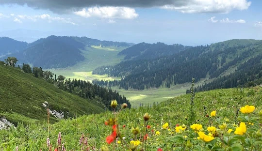 Kupwara,Best Places to Visit in Kashmir