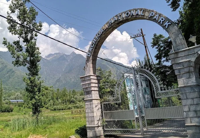 Dachigam National Park in Kashmir