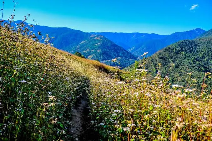 Dirang-Take a Trek best Things to do in Arunachal Pradesh