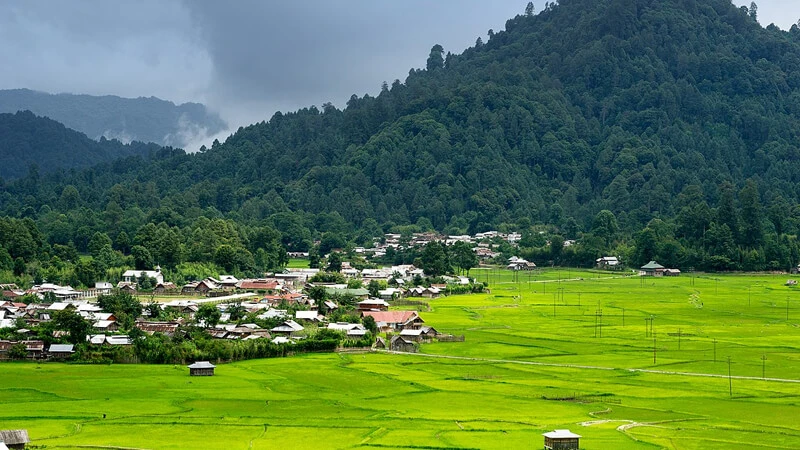 Ziro Valley