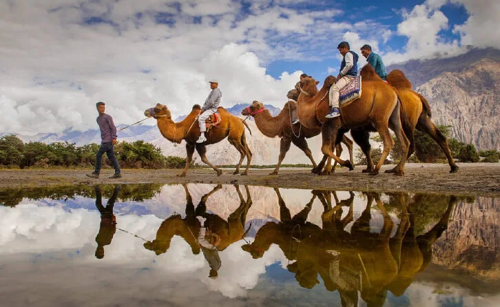 Bactrian Camel Safari, Hunder Things to do in Leh