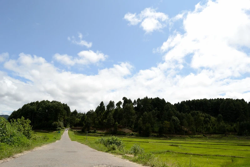 Ziro valley Arunachal Pradesh In January