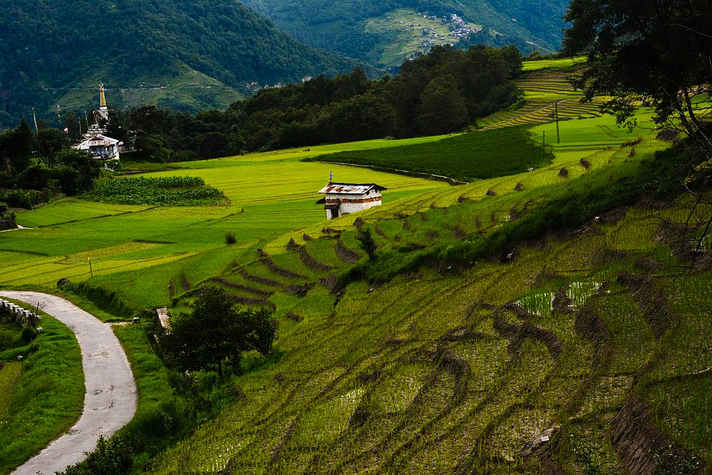 Climbing Mount Mando is one of the best Activity in Ziro Valley