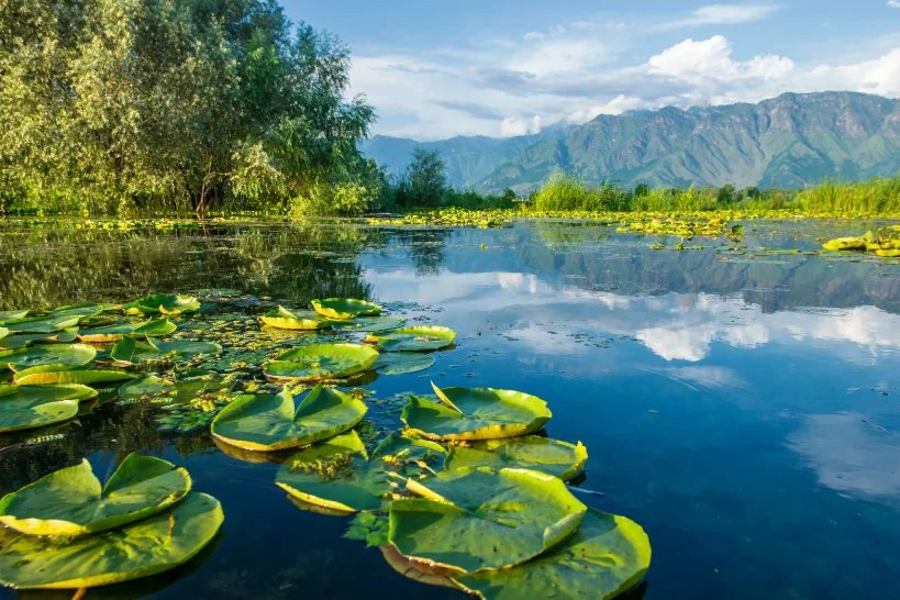 Dal lake ,Jammu and Kashmir Tourism