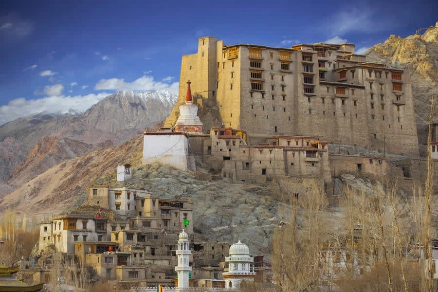 Leh Palace Things to do in Leh