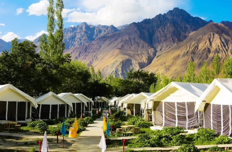 Nubra Valley Camping Activities in Nubra Valley