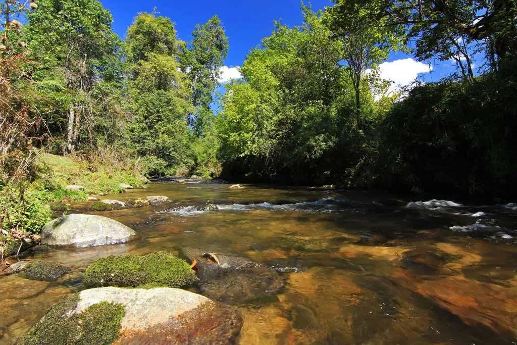 Talle Valley Wildlife Sanctuary