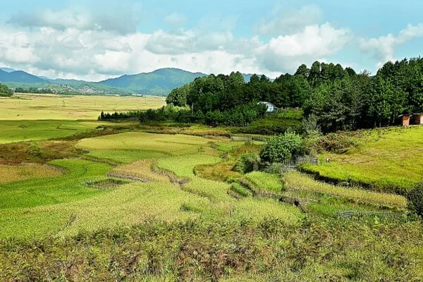 Ziro Puto's Point of View