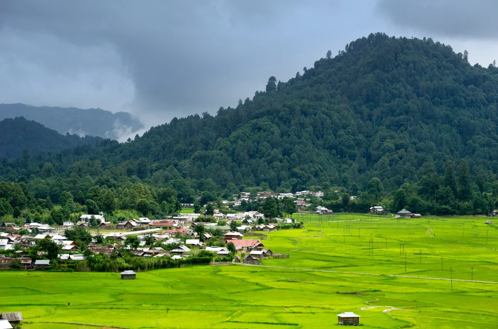 Ziro valley best Things to do in Arunachal Pradesh