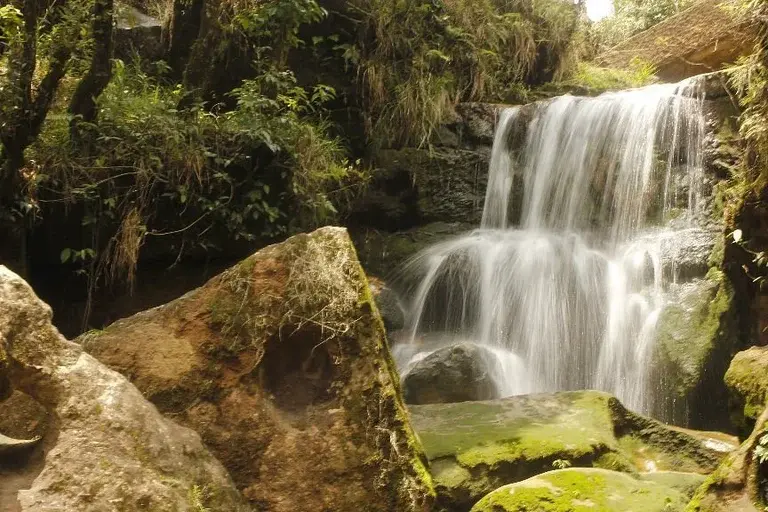 Garden of Caves, top things to do in Meghalaya