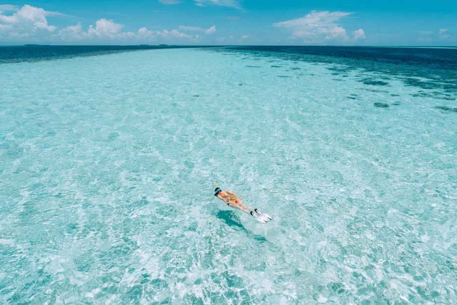 Snorkelling in Things To Do in Lakshadweep