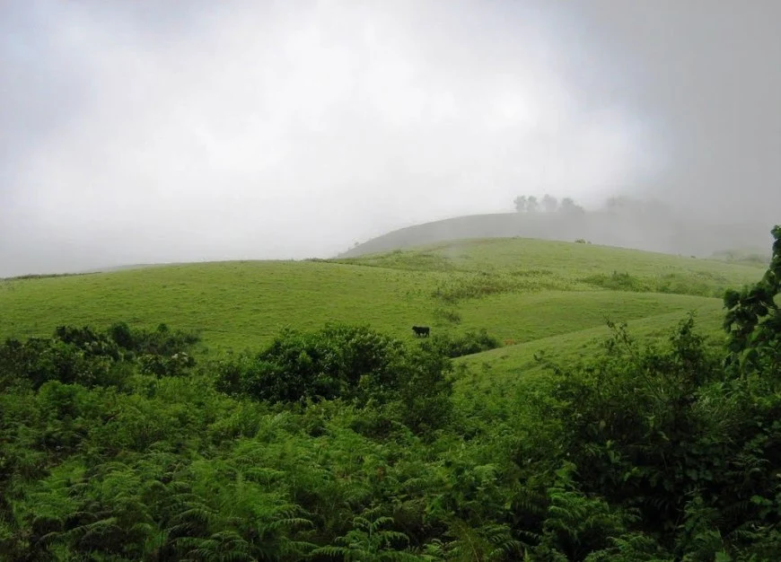 Vagamon Hill