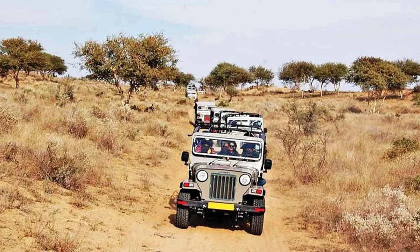 Take a Bishnoi Village Safari