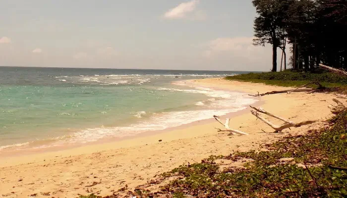 Red Skin Island in andaman and nicobar