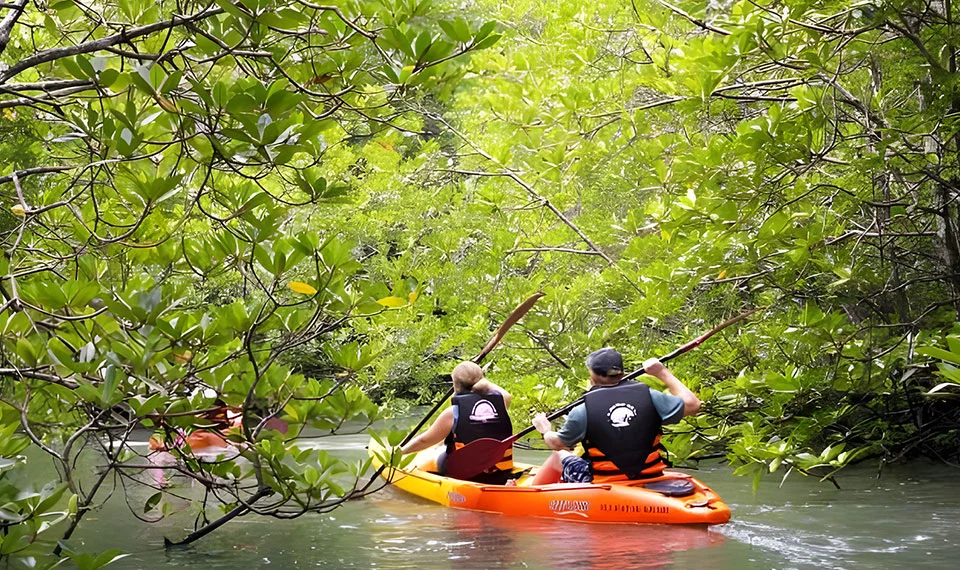 Kayaking in Ao Thalane
