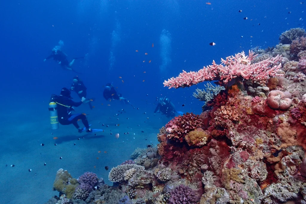 Diving & Snorkeling in Bali