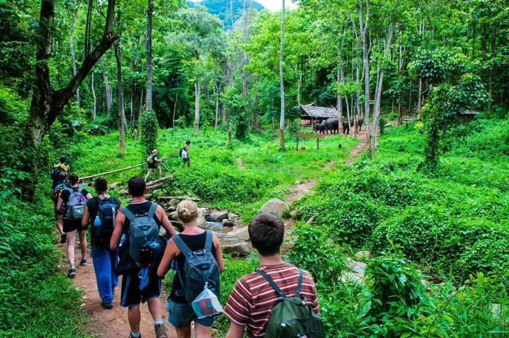 Trekking in Chiang Mai