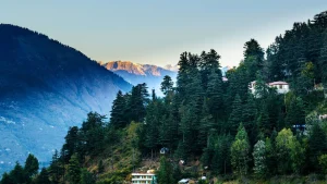 Manali Tour Package 3N/4D ( Ex Delhi )