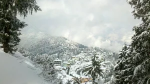 Shimla with Chail Trip Package 3N/4D (Ex Delhi)