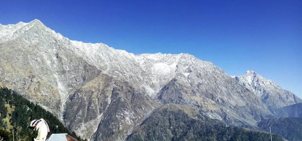 Snowline Trek Dharamshala