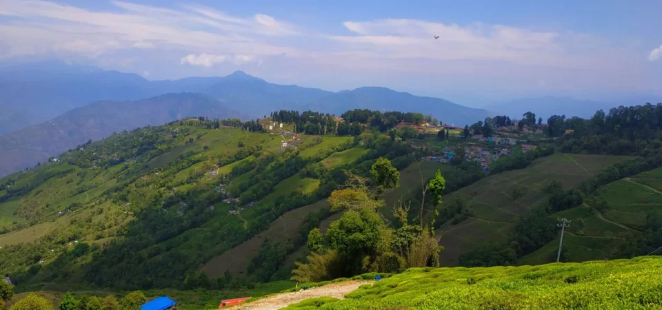 Best Sikkim Darjeeling Holiday Package